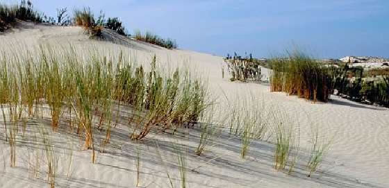 Doñana-2 Doñana-2