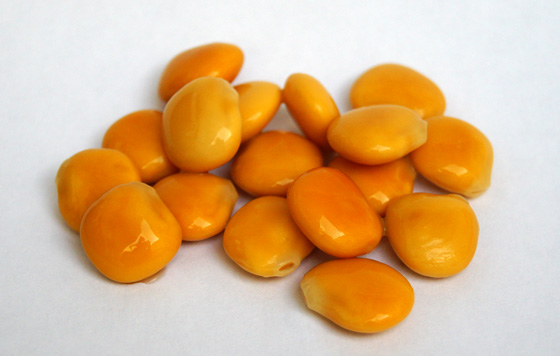 Altramuces Altramuces