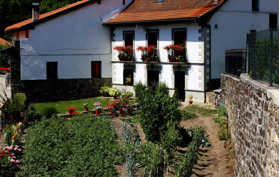 Huerto ecológico Huerto ecológico