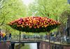 Blomms, diseño de Wunderkammer