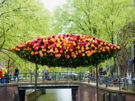 Blomms, diseño de Wunderkammer