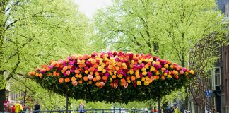 Blomms, diseño de Wunderkammer