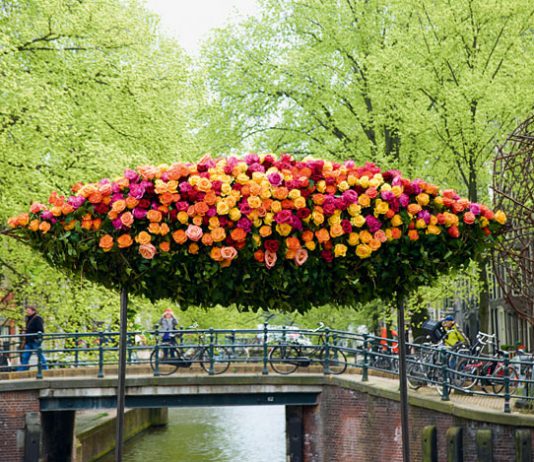 Blomms, diseño de Wunderkammer