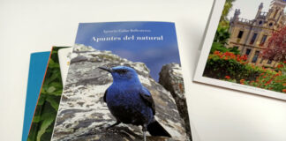 Apuntes del Natural de Ignacio Galaz Ballesteros