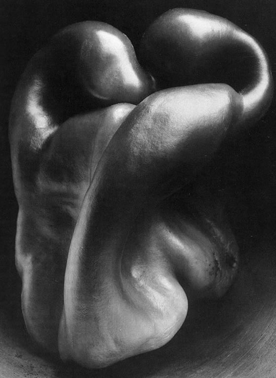 Edward-Weston-3-1