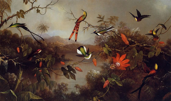 Martin-Johnson-Heade2