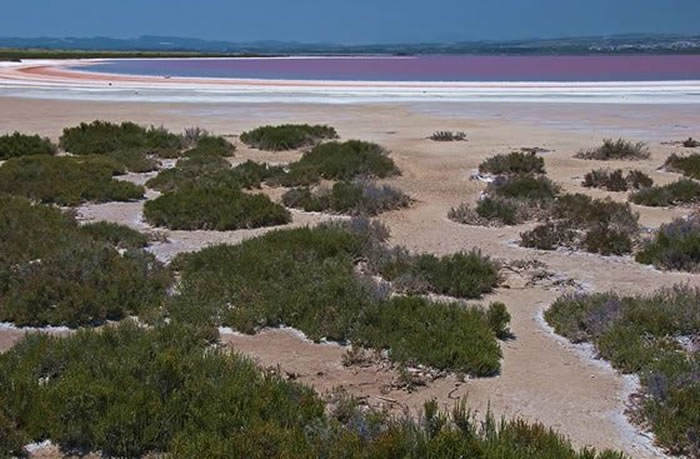 Parque Natural de las Lagunas de La Mata y Torrevieja