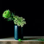 Paul-Cary-Goldberg-11