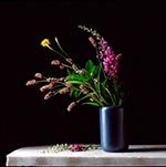 Paul-Cary-Goldberg-12