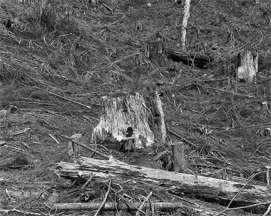 Robert Adams