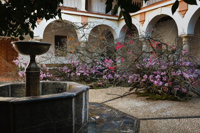 Flora 2017 - Valle de las mariposas de de Alfie Lin