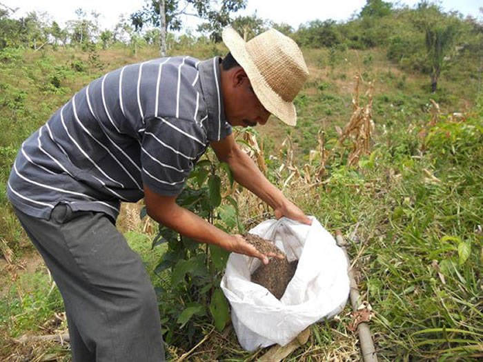 abonos agrícolas