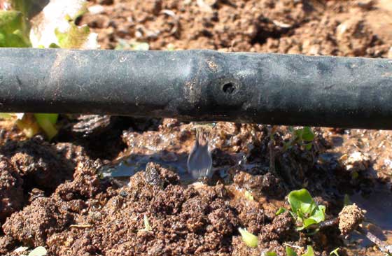 Sbonos para la fertirrigación