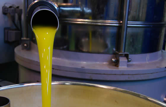 Aceite de Oliva extra virgen