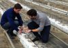 Especialistas en Agronutrientes y Bioestimulantes