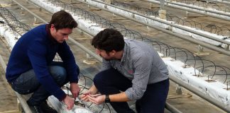 Especialistas en Agronutrientes y Bioestimulantes