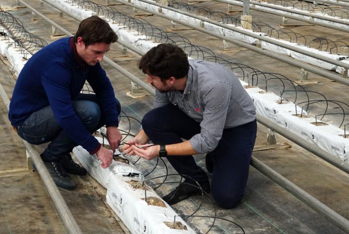 Especialistas en Agronutrientes y Bioestimulantes