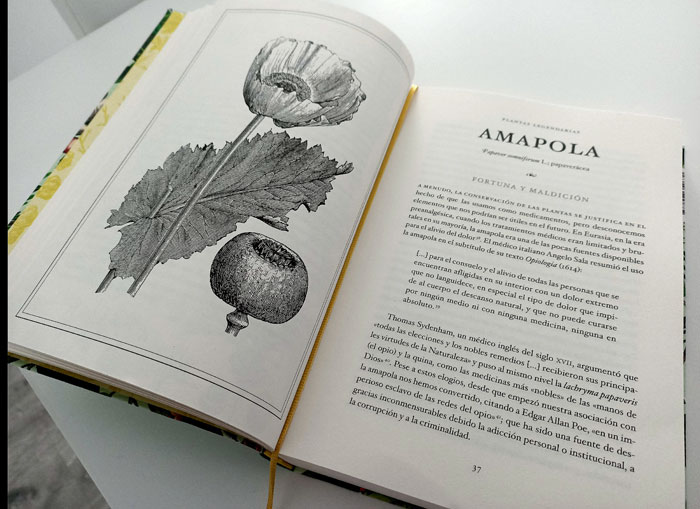 Amapola, plantas legendarias