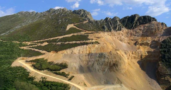 Año Internacional de los Suelos Revista de Flores, Plantas