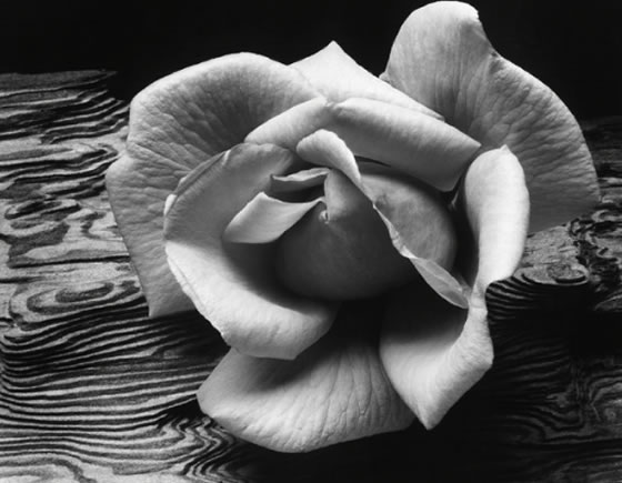 fotografía de Ansel Adams