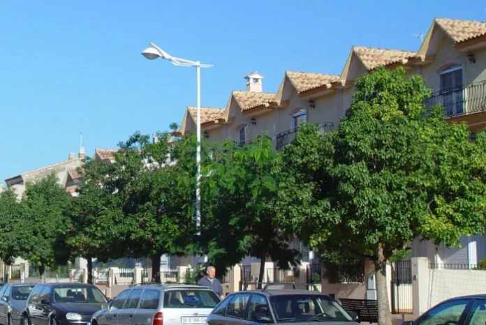 Arbolado urbano en una avenida de Valencia