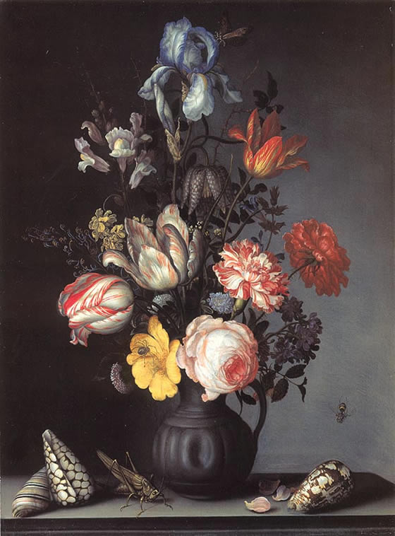 ast_flowers_vase_shells_insects_1628_30