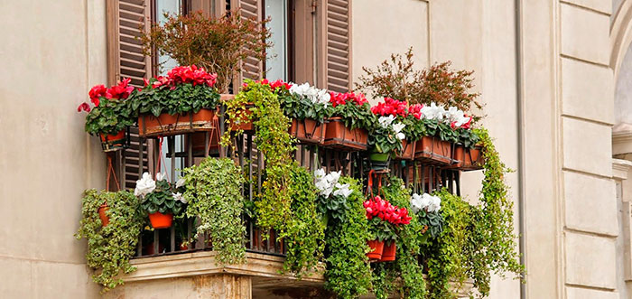 Ahora a disfrutar de plantas en balcones, terrazas y jardines privados