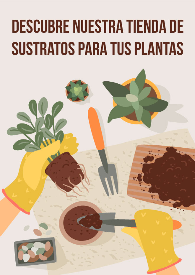 banner-tienda-sustratos-fyp