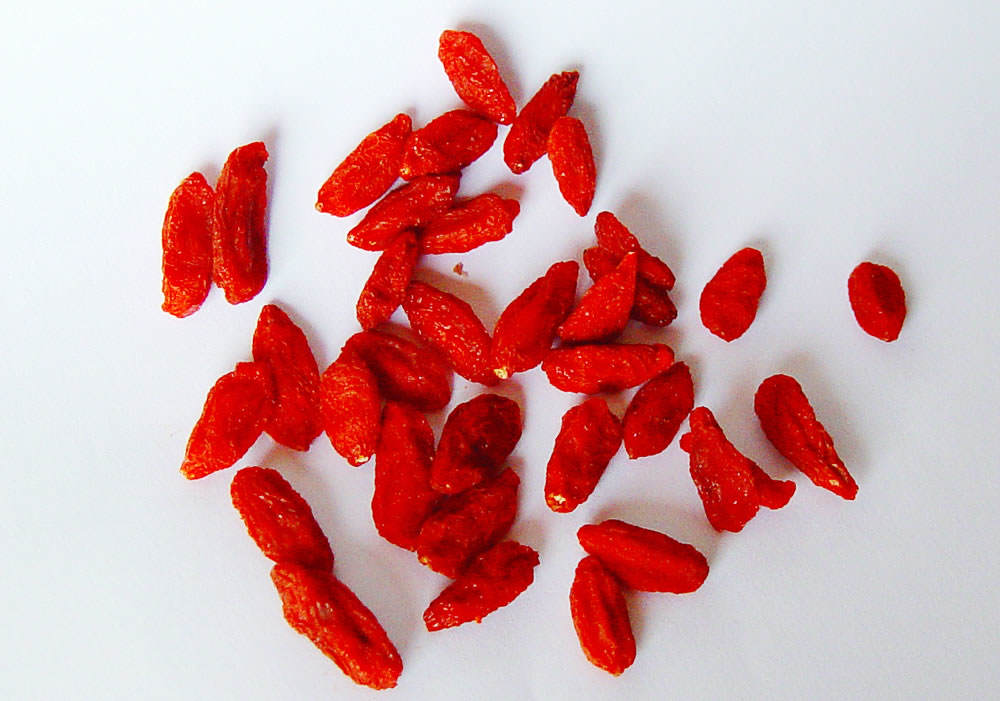 Bayas del Goji – Lycium barbarum