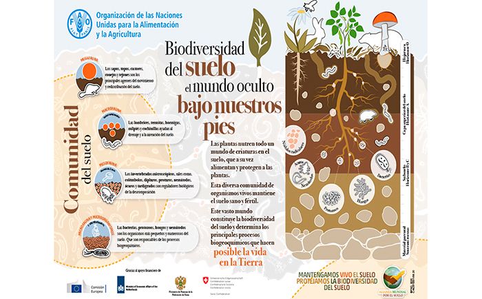 Biodiversidad del suelo