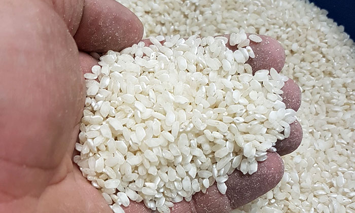 Bioestimulantes agrícolas para el cultivo de arroz