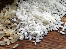 Bioestimulantes agrícolas para el cultivo de arroz