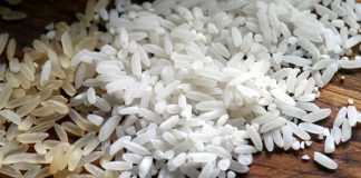 Bioestimulantes agrícolas para el cultivo de arroz