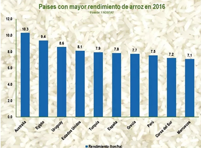 Bioestimulantes agrícolas para el cultivo de arroz