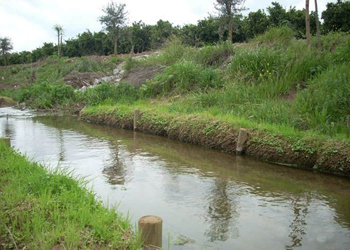 bioingenieria de paisaje