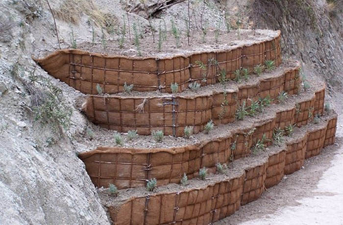 bioingenieria en el paisaje