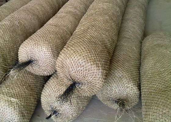 Biorrollos para el control de la erosión