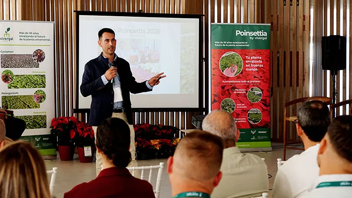 Brais Fernández en el Día da Poinsettia Brais Fernández en el Día da Poinsettia