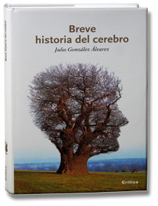 Breve historia del cerebro