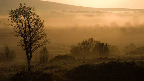 Burgos la tierra tal como era