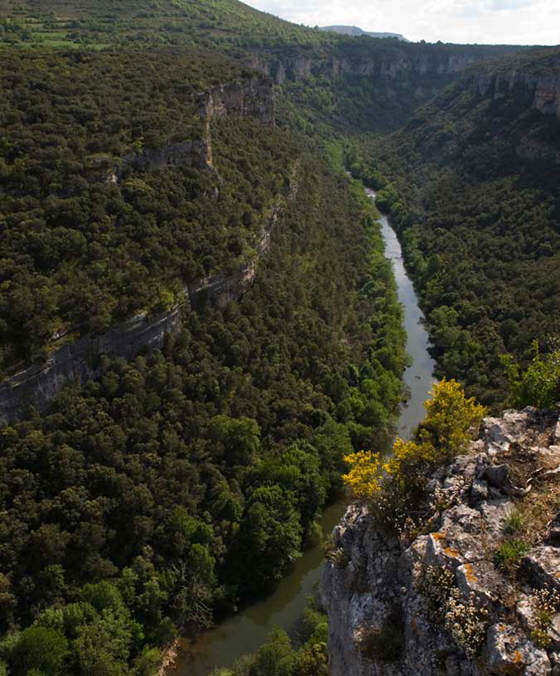 Burgos la tierra tal como era