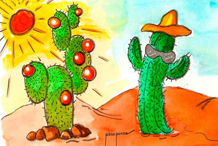 Cactus 1