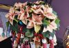Calendario de Adviento con flores de poinsettia