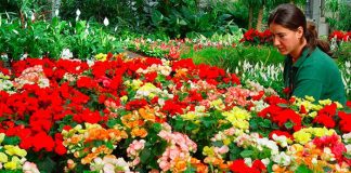 Calendario del jardín en mayo