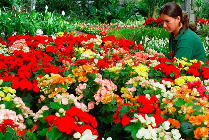 Calendario del jardín en mayo