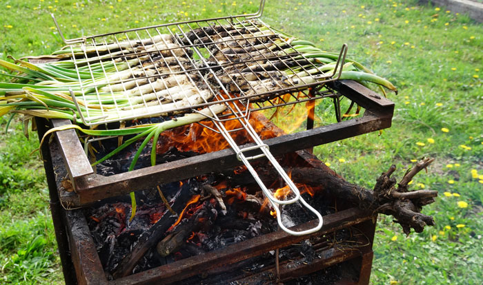 Calçots