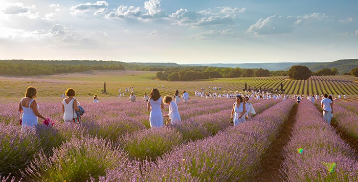 Campos de Lavanda de Brihuega