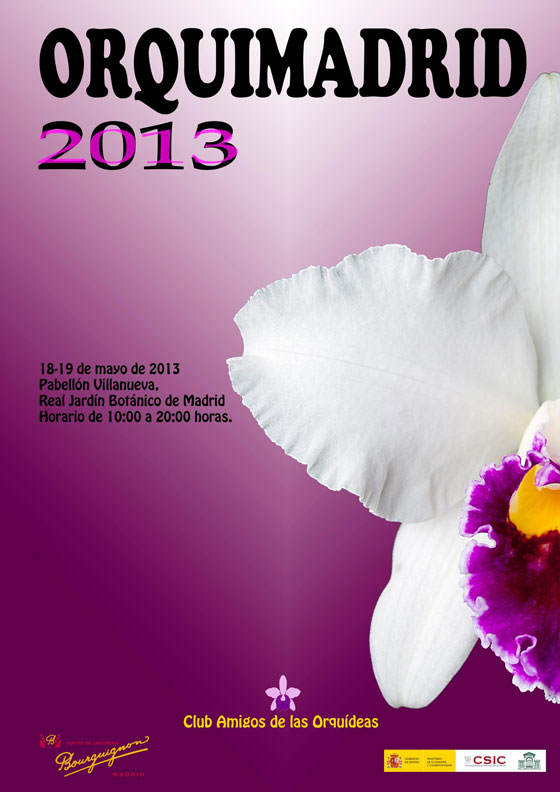 OrquiMadrid 2013
