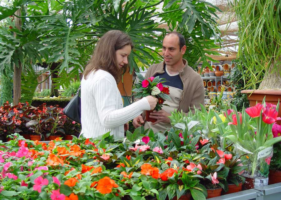 Centro de jardinería