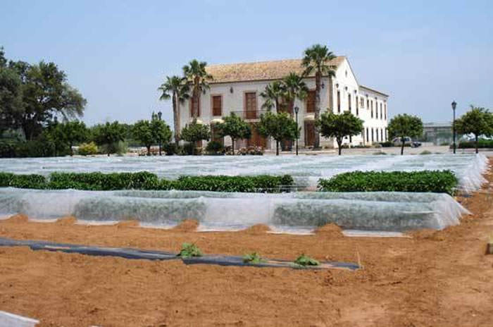 centro experiencia de paiporta